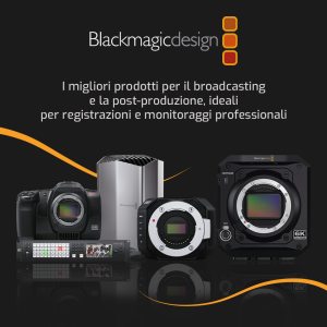 BMD-ita