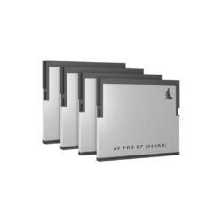 AVP256CFX4_Angelbird_Scheda di memoria SD Angelbird AV PRO CF 256 GB CFast 2.0 (4 pezzi)