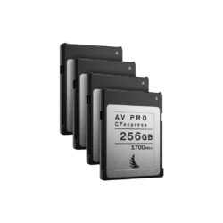 AVP256CFXX4_Angelbird_Scheda di memoria Angelbird AV PRO CFexpress 2.0 256 GB (4 pezzi)