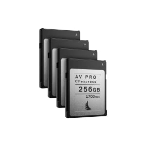 AVP256CFXX4_Angelbird_Scheda di memoria Angelbird AV PRO CFexpress 2.0 256 GB (4 pezzi)