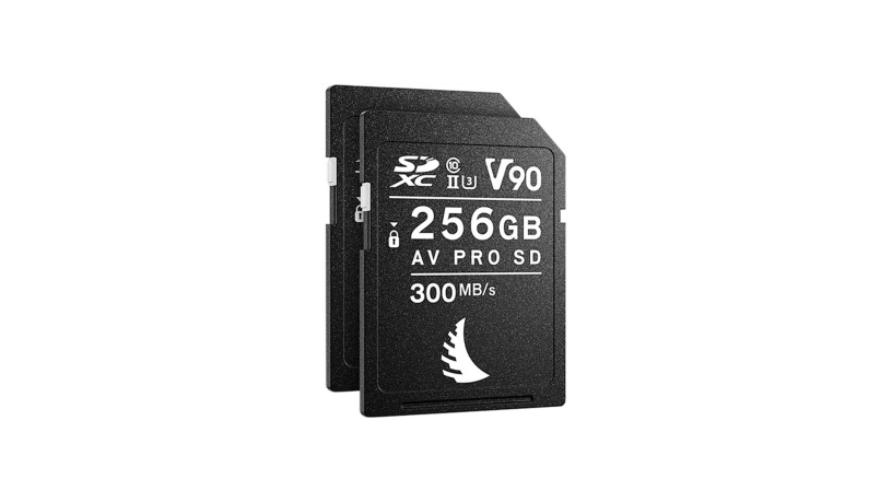 AVP256SDMK2V90X2_Angelbird_Scheda di memoria SD Angelbird AV Pro 256 GB UHS-II V90 (2 pezzi)