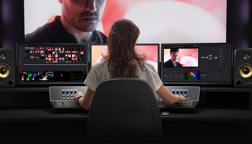 davinci resolve panel  input