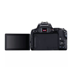 Canon EOS 250D 4K da 24.1 MP - fotocamera campatta