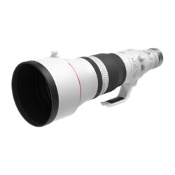 5054C005_Canon_Canon RF 600mm F4 L IS USM - obiettivo fotografico