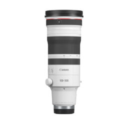 6055C005_Canon_Canon RF 100-300mm F2.8 L IS USM - obiettivo fotografico