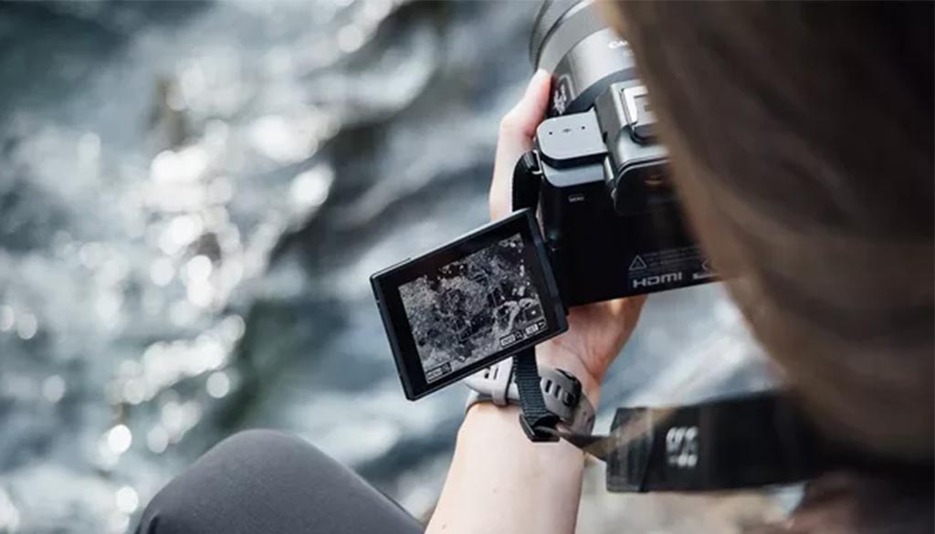 Canon EOS R8 Mark II Corpo