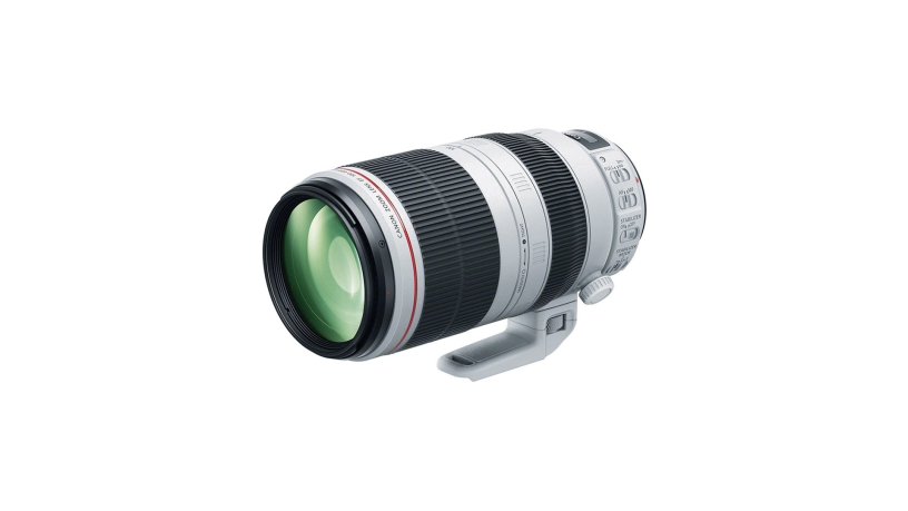 Canon EF 100-400mm F4.5-5.6L IS II USM - obiettivo fotografico