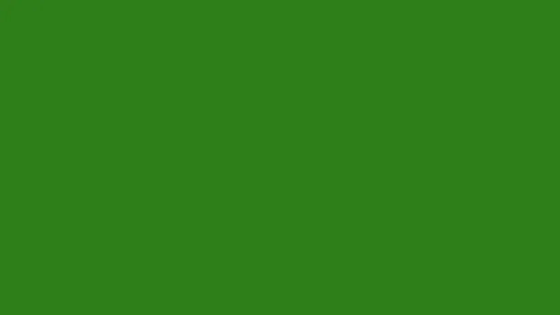 089_Cotech-Filters_Moss-Green