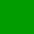 122_Cotech-Filters_Fern-Green