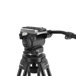 Testa video