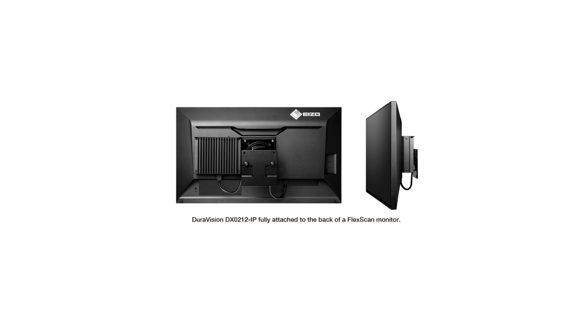 Eizo VESAMP100 attacco vesa per monitor flexscan, colorade RadiForce DX0212-IP