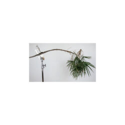 KCP-117_Kupo_Morsetto a C 10 cm Kupo KCP-117 con supporto per ramo o asta di legno