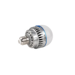 PavoBulb 10C Nanlite LED-Glühbirne