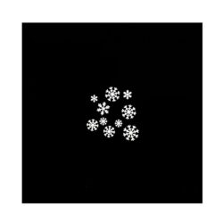 2130795_Nanlite_Disc 2