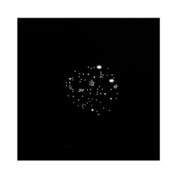 2130795_Nanlite_Disc 4