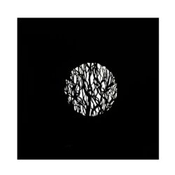 2130795_Nanlite_Disc 7