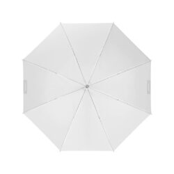 100976_profoto_Profoto Umbrella Shallow Translucent M 105cm