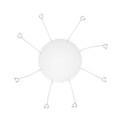 Profoto 201706 Deflector Convexo de Repuesto para Beauty Dish