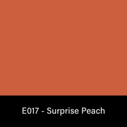 E017_Rosco_E-Colour+ 017 Surprise Peach