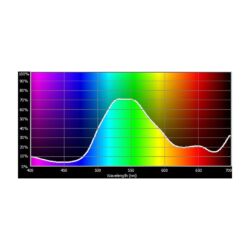 E121_Rosco_E-Colour+ 121 Evergreen