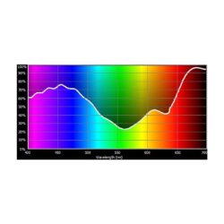 E704_Rosco_E-Colour+ 704 Lily
