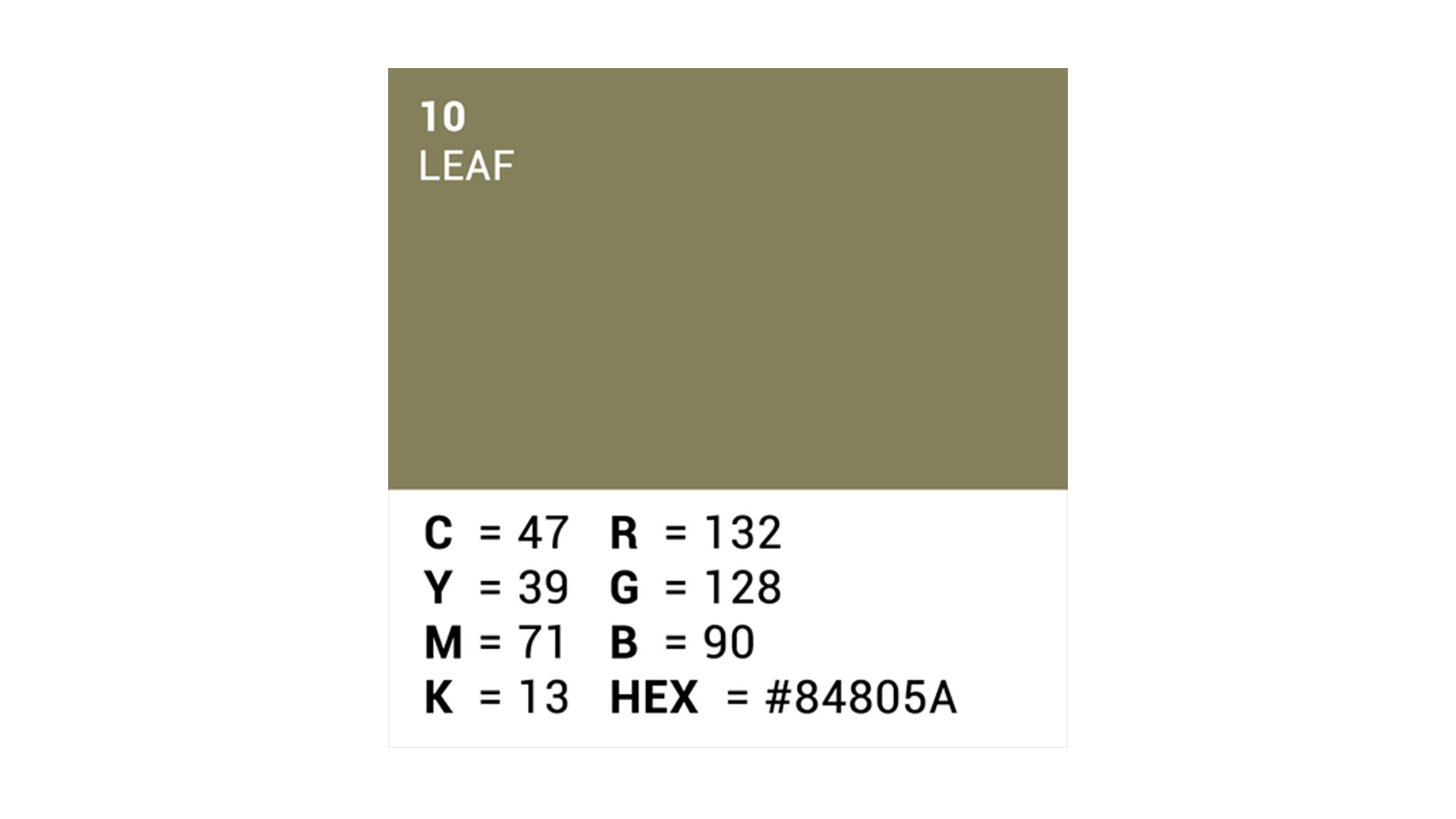 Superior S101210C paper backdrop color 10 Leaf 1.35 x 11 m 03