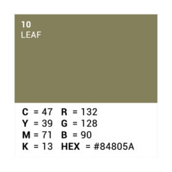 Fondale Superior 111410 in carta colore 10 Leaf 2.72 x 11 m