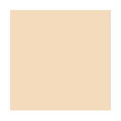 Fondale Superior 111464 in carta colore 64 Fawn 2.72 x 11 m