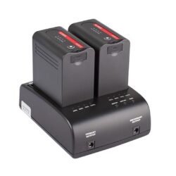 Caricabatterie doppio con adattatore Swit S-3602I per batterie JVC SSL