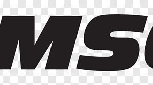 samson logo